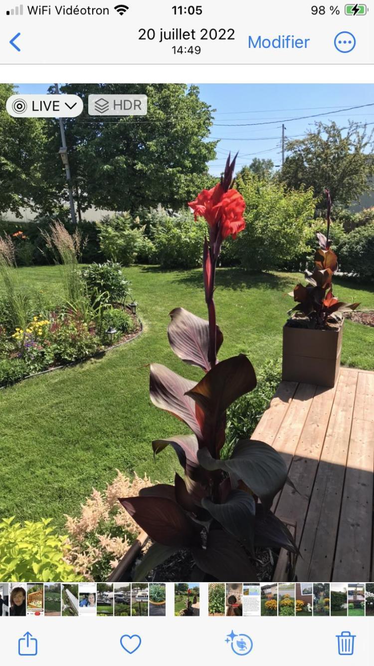 Oasis De La Riviere Apartment Saguenay Luaran gambar